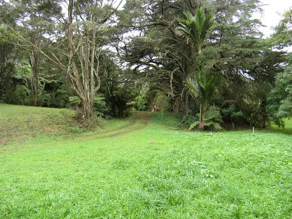 Consented Subdivision Steal! Picture 2