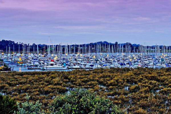 MAGNIFICENT MARINA & CITY VIEWS Picture 2