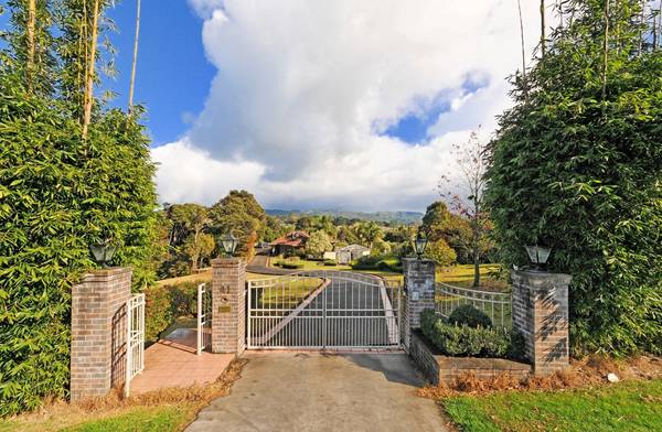 Endless Summer in Autumn Ave Picture 3