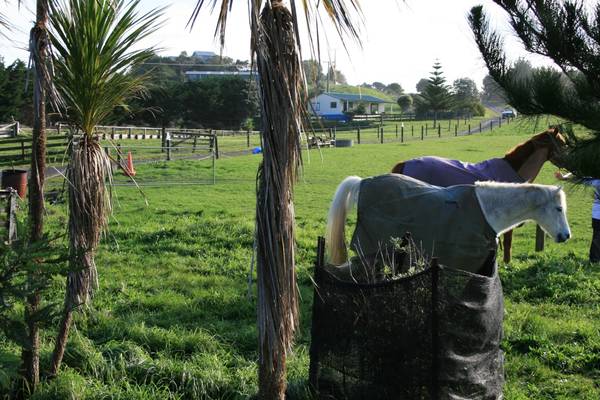 IT DOESN'T GET ANY BETTER THAN THIS Picture 2