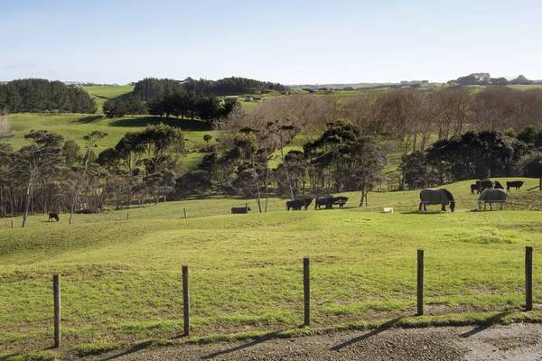 Ride or Rev It on Rimmer Road! Picture 1