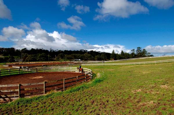 Equestrian Opportunity Picture 2
