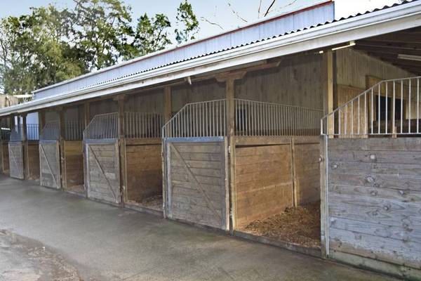 Equestrian Opportunity Picture 3