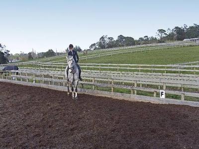 Equestrian Opportunity Picture Equestrian Opportunity Picture