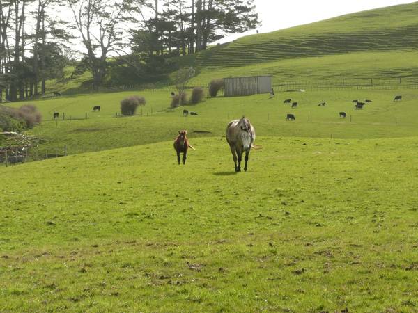 Landbank or Lifestyle Picture 3