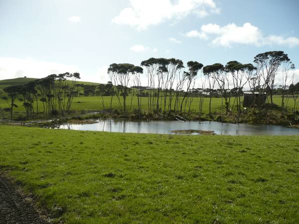 Landbank or Lifestyle Picture 1