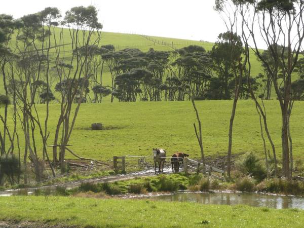 Landbank or Lifestyle Picture 2