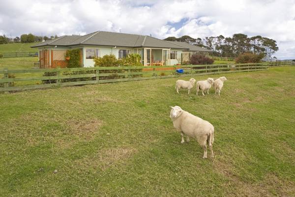 Country Roads, take me home...... Picture 1