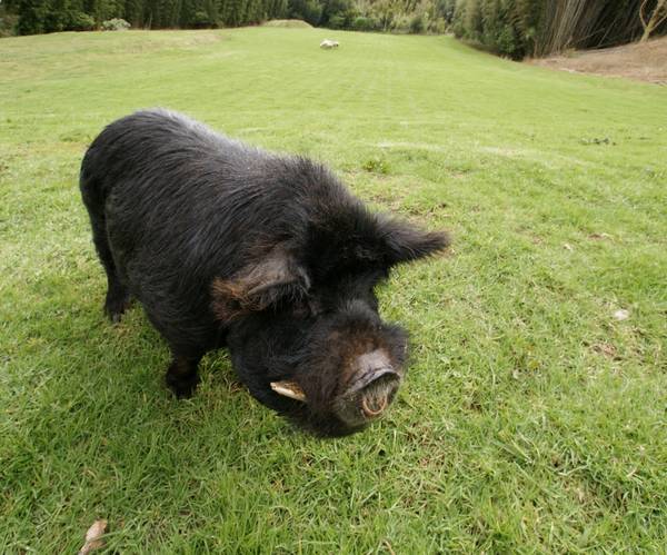 AN IRREPLACEABLE 22 ACRE LIFESTYLE HIDEAWAY Picture 3