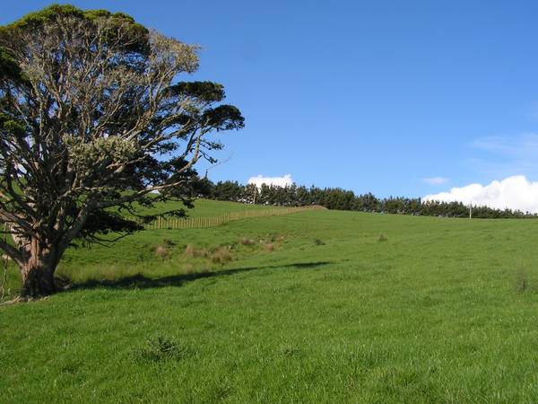 Peaceful Pastoral Setting Picture 1