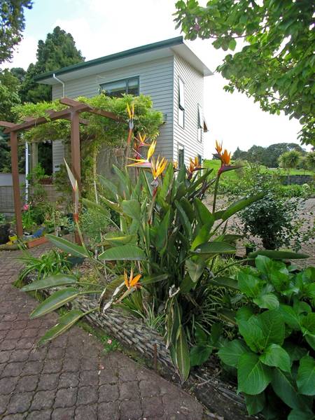 ORATIA FUSION:
A BLEND OF ERAS Picture 2