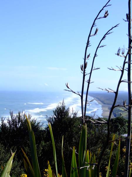 The Best of Both Picture 1