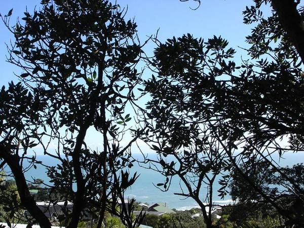 The Best of Both Picture 3