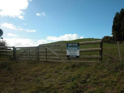 Muriwai Picture Muriwai Picture