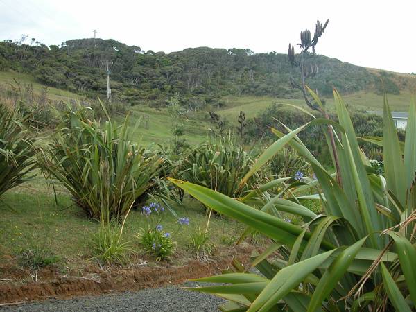 Now We're Serious Picture 2