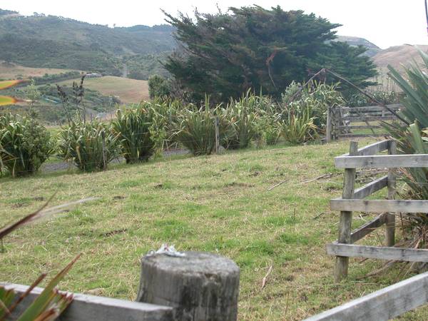 Now We're Serious Picture 3