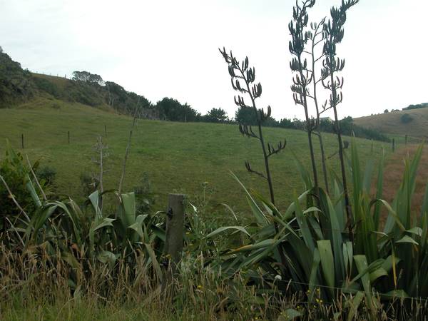 Now We're Serious Picture 1