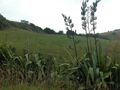 Now We're Serious Picture Now We're Serious Picture