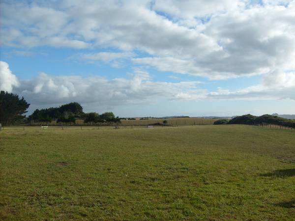 Have you been looking for ...... Picture 1