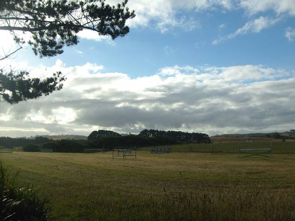 Have you been looking for ...... Picture 2