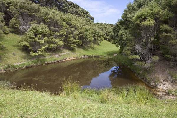Would you buy 116 acres for $765,000? Picture 3