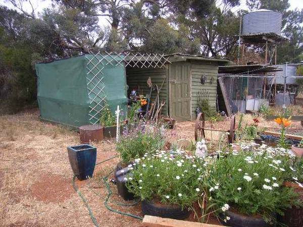 KEWELL WEST -BLACKHEATH Picture 3