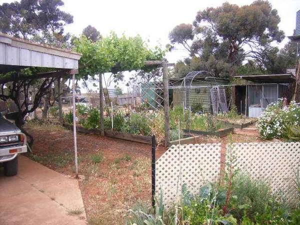 KEWELL WEST -BLACKHEATH Picture 2
