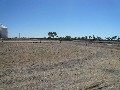 WARRACKNABEAL Picture