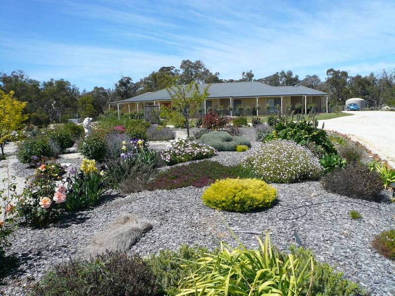 PARADISE FOUND! Picture 1