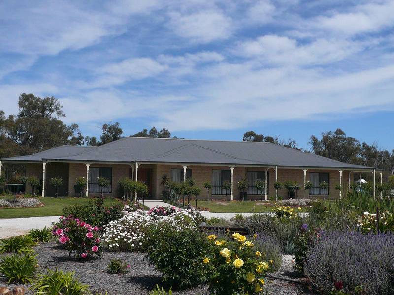 PARADISE FOUND! Picture 2