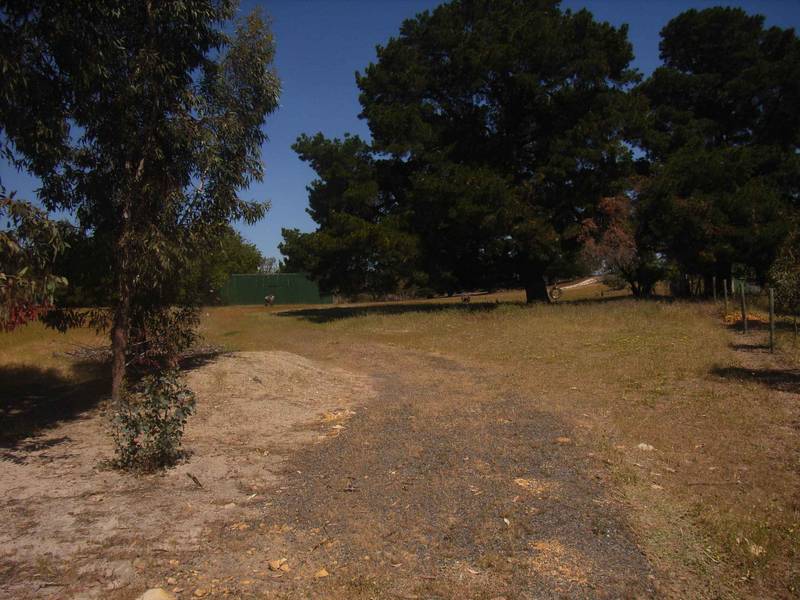 DIMBOOLA - WEEKENDER ON THE RIVER Picture 3