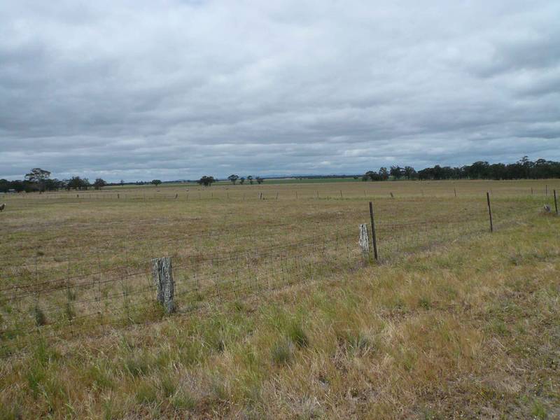 QUANTONG STATION RD Picture 2