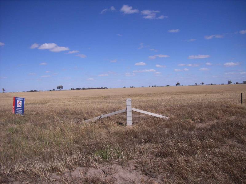 KEWELL EAST-NULLAN Picture 2