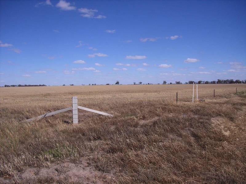 KEWELL EAST-NULLAN Picture 3