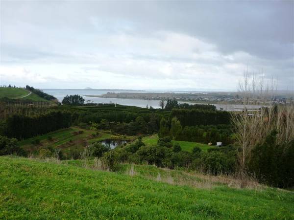 Paradise in Katikati Picture 2