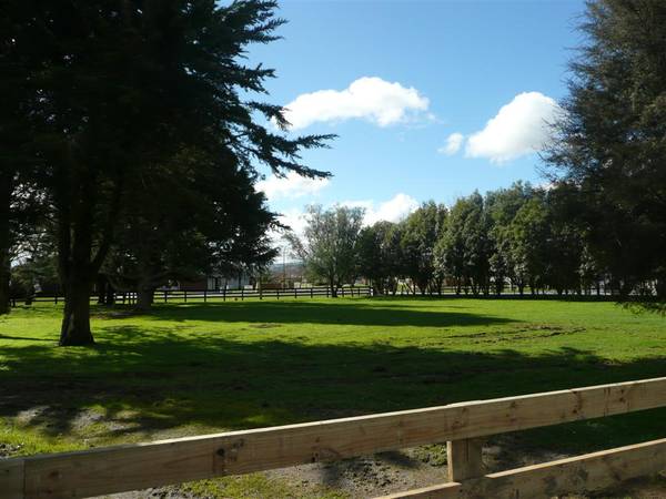 Supreme Section Picture 3