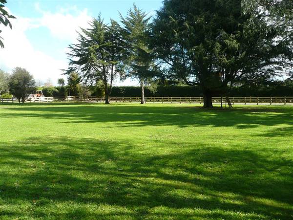 Supreme Section Picture 1