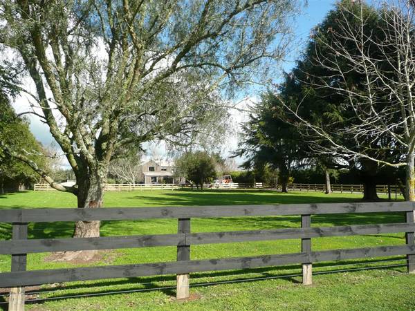 Supreme Section Picture 2