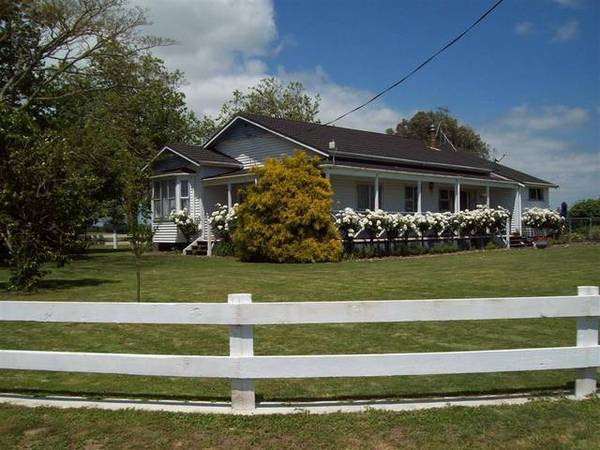 New Chicken Broiler Listing Picture 2