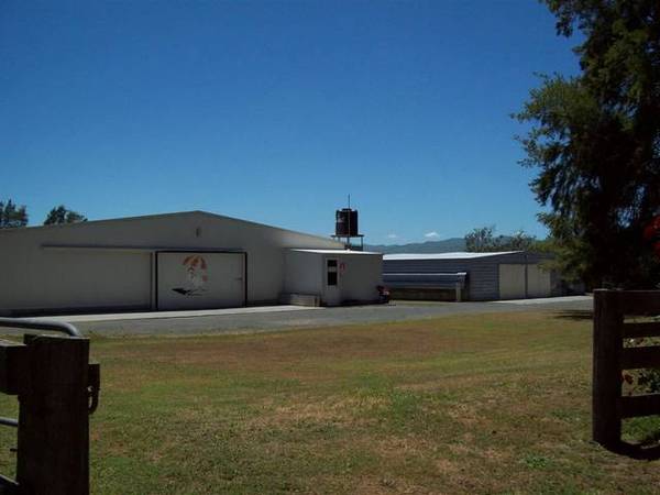 New Chicken Broiler Listing Picture 3