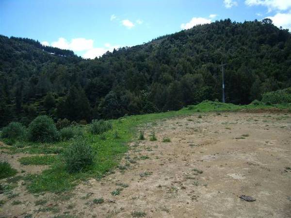 Lovely Big Section Picture 2