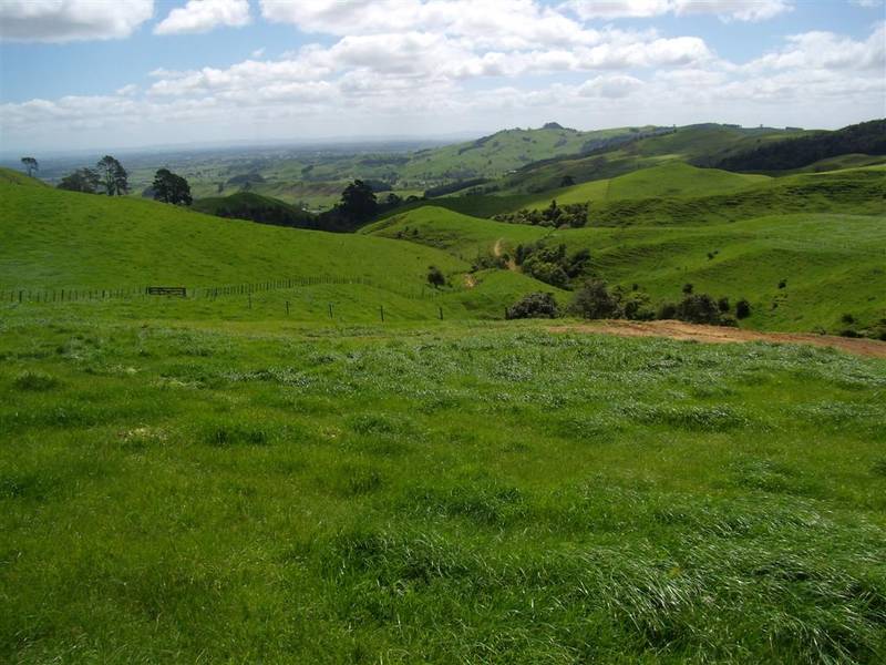 Two Good Sized Sections Picture 2