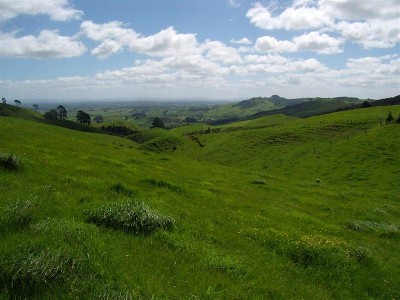 Two Good Sized Sections Picture