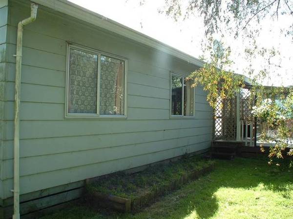 Great Starter Picture 3