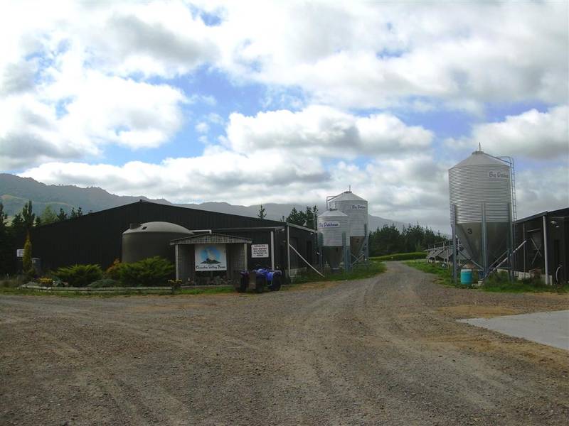 Duck & Dairy Farming
$2,990,000 + GST on land Picture 3
