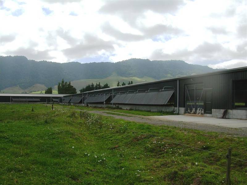 Duck & Dairy Farming
$2,990,000 + GST on land Picture 2