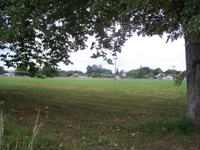 Fresh To The Market Picture 1