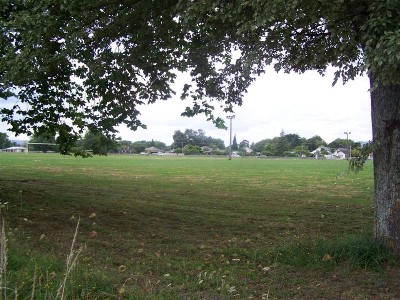 Fresh To The Market Picture Fresh To The Market Picture