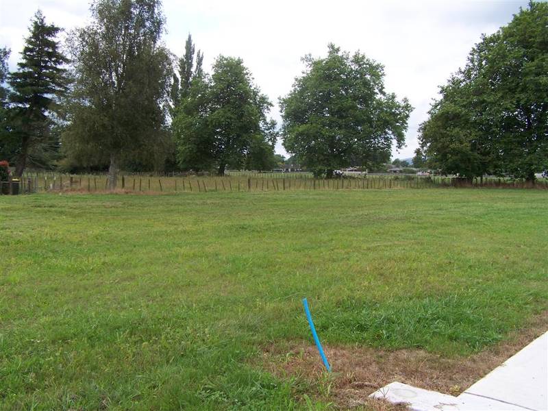 Fresh To The Market Picture 2