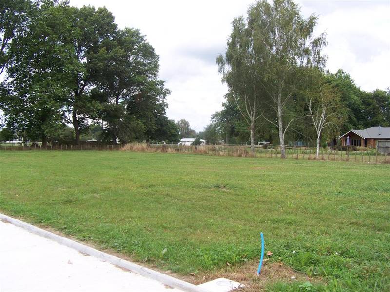 Fresh To The Market Picture 3